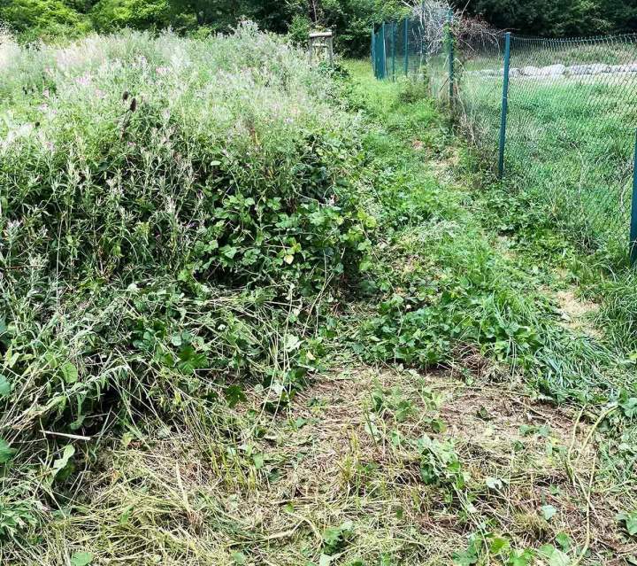 Débroussaillage Millau