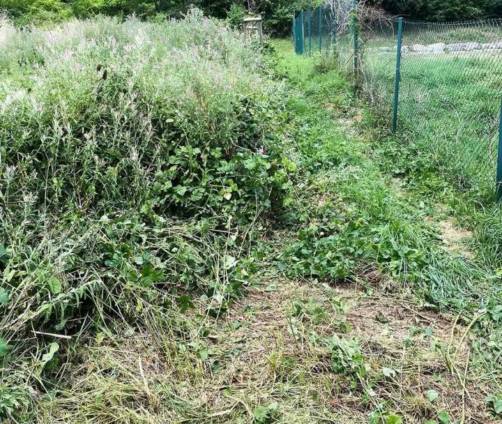 Nettoyage et entretien de parcelles et terrains